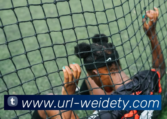 韦德体育品牌故事